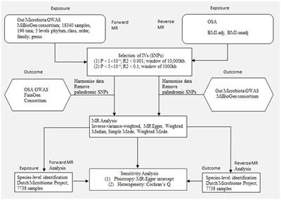 Causal relationships between gut microbiome and obstructive sleep apnea: a bi-directional Mendelian randomization